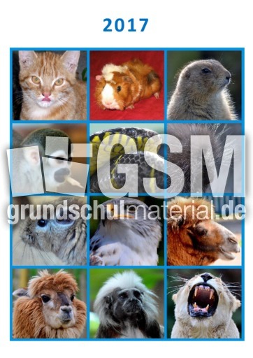 Tier-Kalender_2017_3.pdf